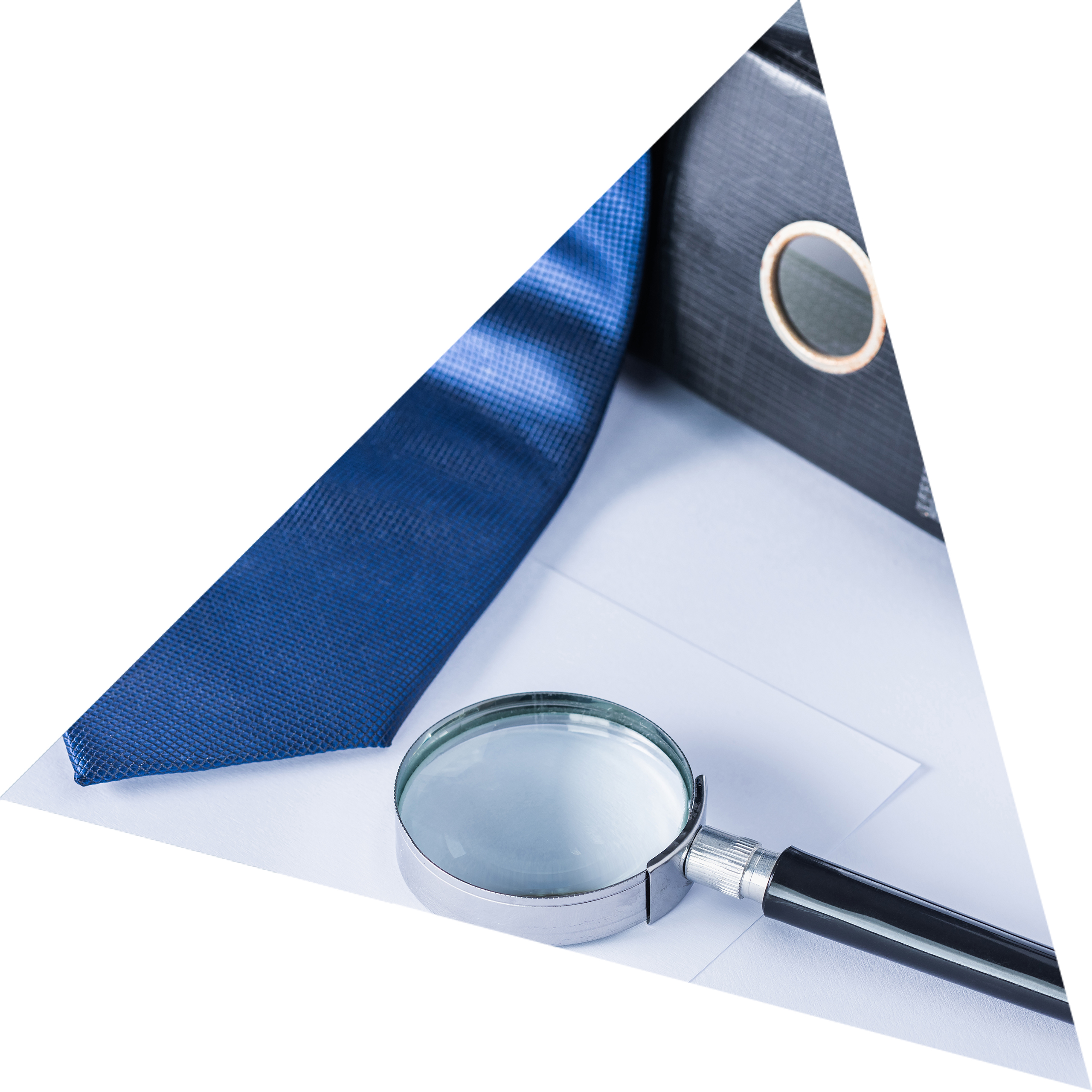 Inspection, Investigation & Fraude